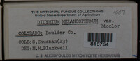 Image Associated With the Occurence